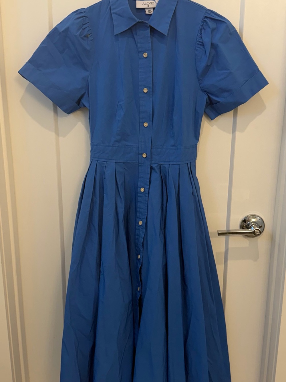 Alexis Blue Button-Front Maxi Shirt Dress